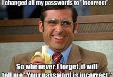 Incorrect Password
